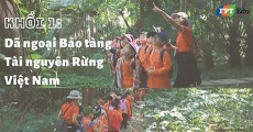 Tổng hợp 6 hoạt động ngoại khóa ở tiểu học được yêu thích